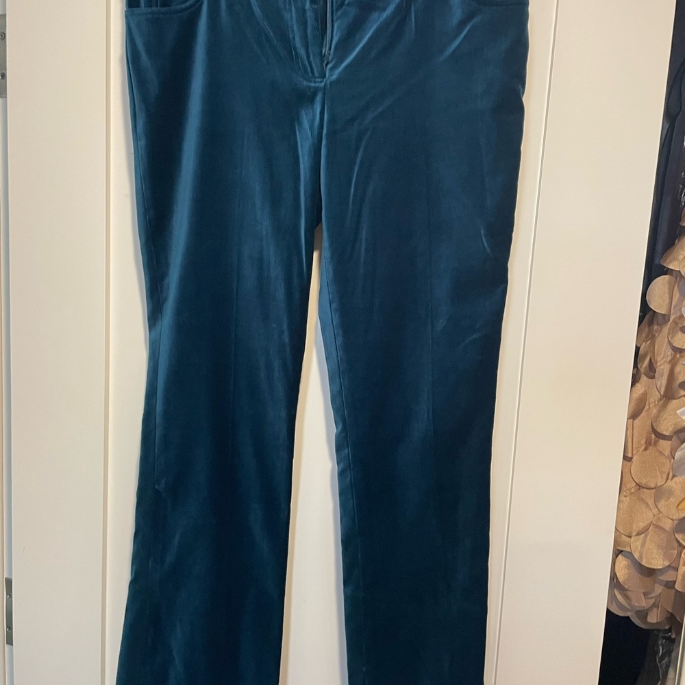 NWT CACHE pants